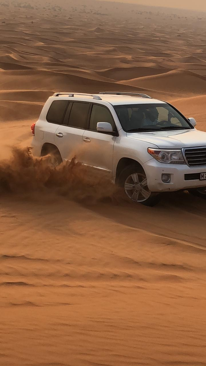 Morning Desert Safari image