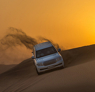 Best Red Dune Desert Safari in Dubai | Abu Dhabi City Tour
