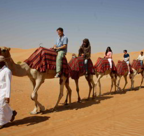 Top Camel Trekking Dubai | Camel Trekking Safari in UAE